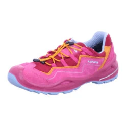 Lowa Outdoorschuh Robin Evo GTX LO